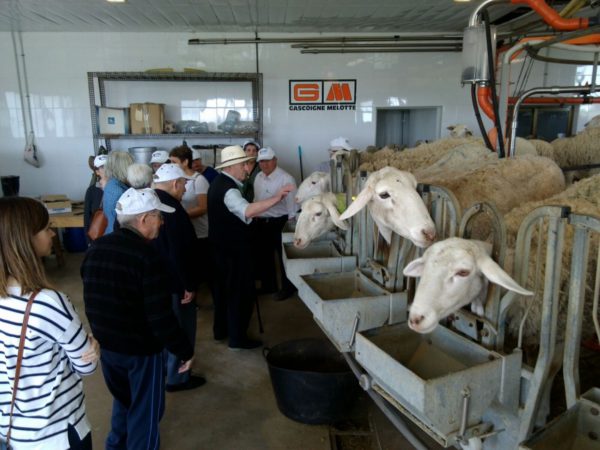 Finca Las Agrupadas abre sus instalaciones a tres generaciones de valdepeñeros